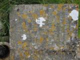 image of grave number 507352